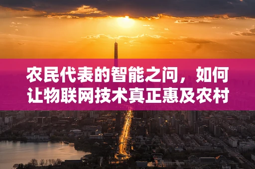 农民代表的智能之问，如何让物联网技术真正惠及农村？