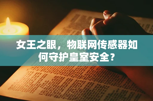 女王之眼，物联网传感器如何守护皇室安全？