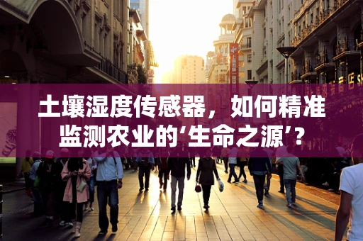 土壤湿度传感器，如何精准监测农业的‘生命之源’？