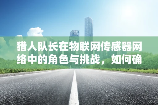 猎人队长在物联网传感器网络中的角色与挑战，如何确保其决策精准高效？