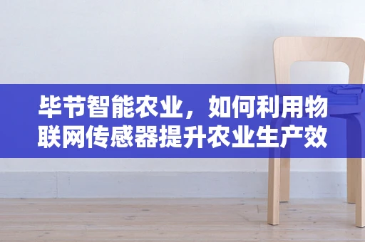 毕节智能农业，如何利用物联网传感器提升农业生产效率？
