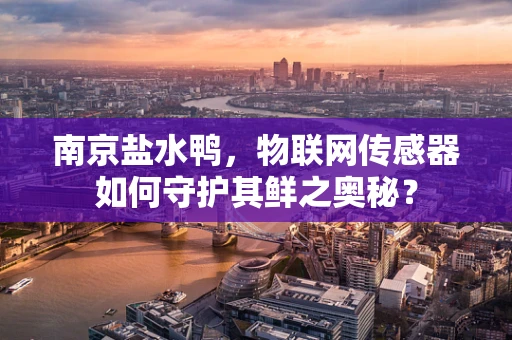 南京盐水鸭，物联网传感器如何守护其鲜之奥秘？