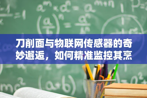 刀削面与物联网传感器的奇妙邂逅，如何精准监控其烹饪过程？