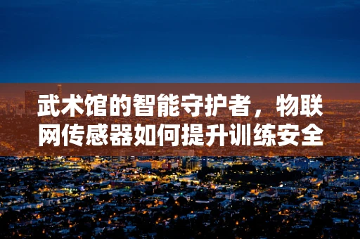 武术馆的智能守护者，物联网传感器如何提升训练安全？