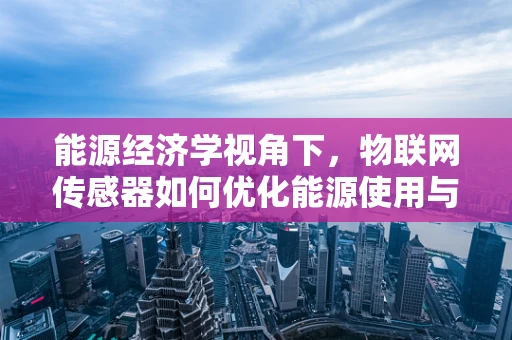 能源经济学视角下，物联网传感器如何优化能源使用与成本？
