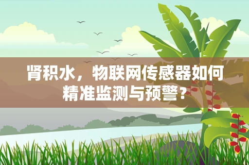 肾积水，物联网传感器如何精准监测与预警？