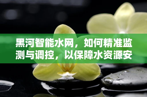 黑河智能水网，如何精准监测与调控，以保障水资源安全？