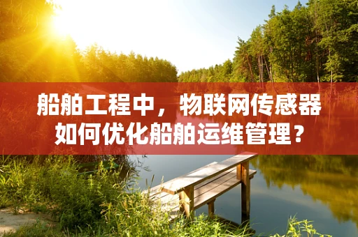 船舶工程中，物联网传感器如何优化船舶运维管理？