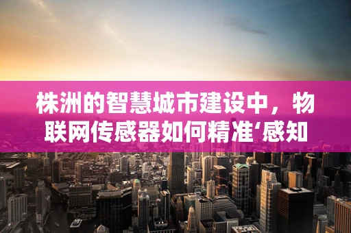 株洲的智慧城市建设中，物联网传感器如何精准‘感知’城市脉搏？