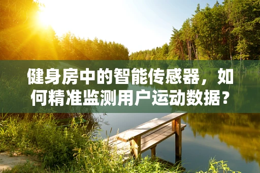 健身房中的智能传感器，如何精准监测用户运动数据？