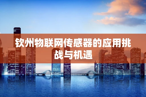 钦州物联网传感器的应用挑战与机遇