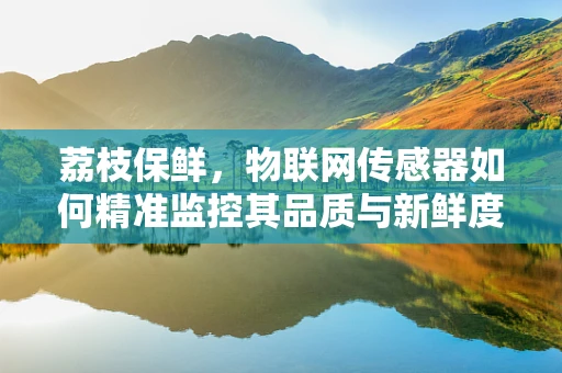 荔枝保鲜，物联网传感器如何精准监控其品质与新鲜度？