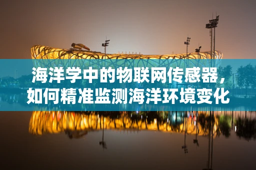 海洋学中的物联网传感器，如何精准监测海洋环境变化？