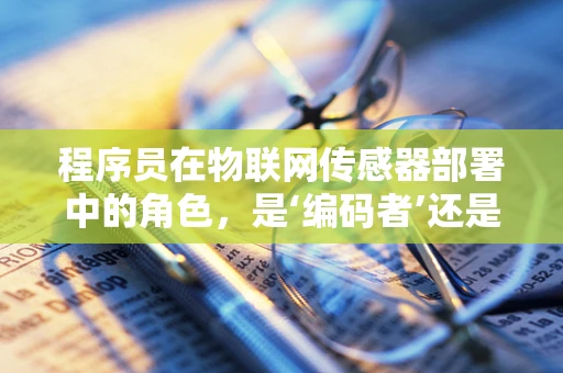 程序员在物联网传感器部署中的角色，是‘编码者’还是‘创意实现者’？
