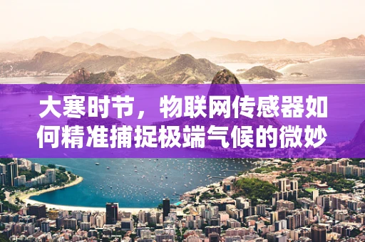 大寒时节，物联网传感器如何精准捕捉极端气候的微妙表情？