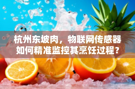 杭州东坡肉，物联网传感器如何精准监控其烹饪过程？