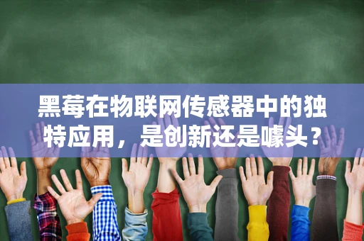 黑莓在物联网传感器中的独特应用，是创新还是噱头？