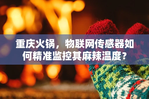 重庆火锅，物联网传感器如何精准监控其麻辣温度？