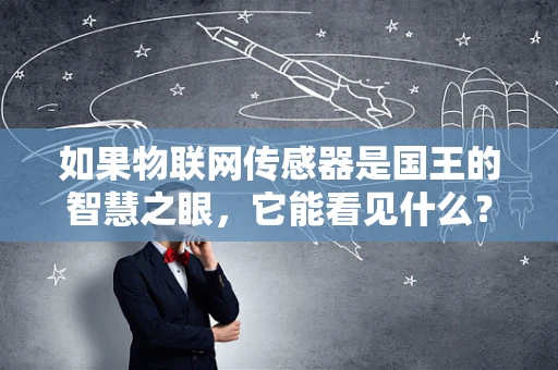 如果物联网传感器是国王的智慧之眼，它能看见什么？