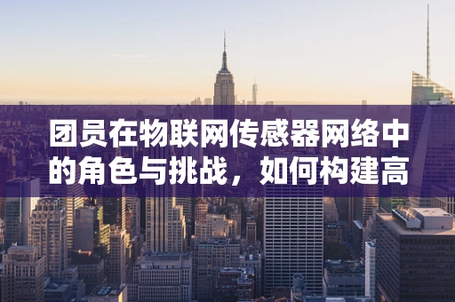 团员在物联网传感器网络中的角色与挑战，如何构建高效的数据传输团队？