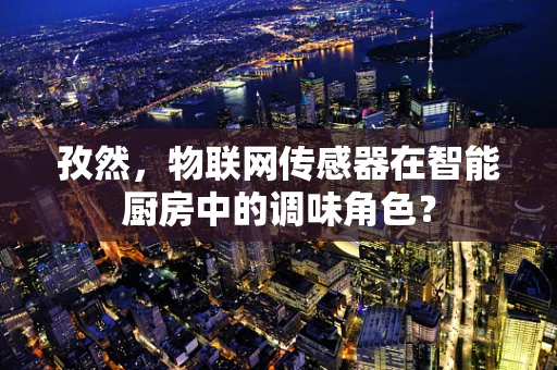孜然，物联网传感器在智能厨房中的调味角色？