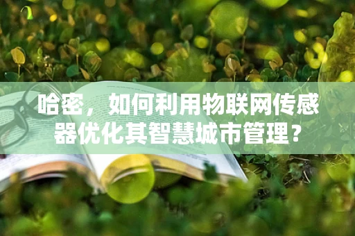 哈密，如何利用物联网传感器优化其智慧城市管理？