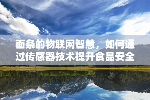 面条的物联网智慧，如何通过传感器技术提升食品安全与质量？