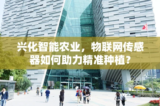 兴化智能农业，物联网传感器如何助力精准种植？