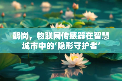 鹤岗，物联网传感器在智慧城市中的‘隐形守护者’