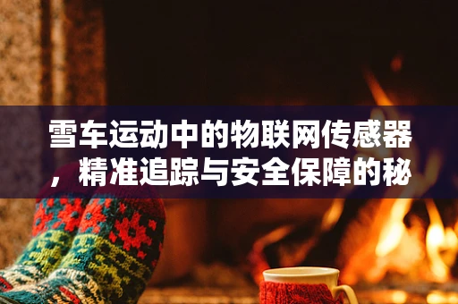 雪车运动中的物联网传感器，精准追踪与安全保障的秘密