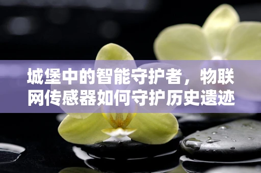 城堡中的智能守护者，物联网传感器如何守护历史遗迹？