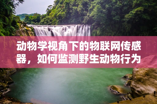 动物学视角下的物联网传感器，如何监测野生动物行为？