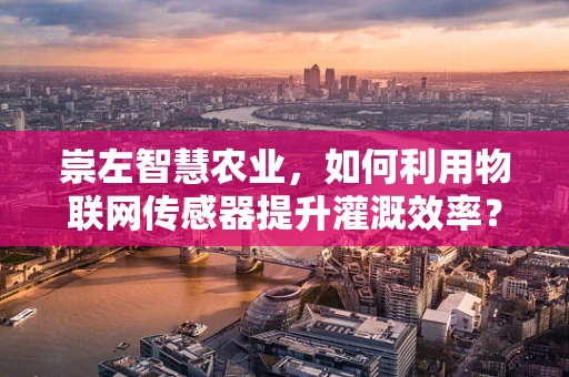 崇左智慧农业，如何利用物联网传感器提升灌溉效率？
