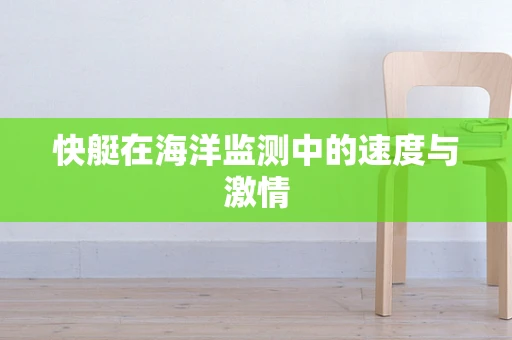 快艇在海洋监测中的速度与激情