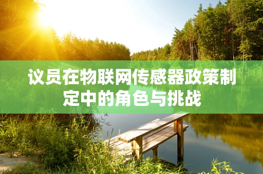 议员在物联网传感器政策制定中的角色与挑战