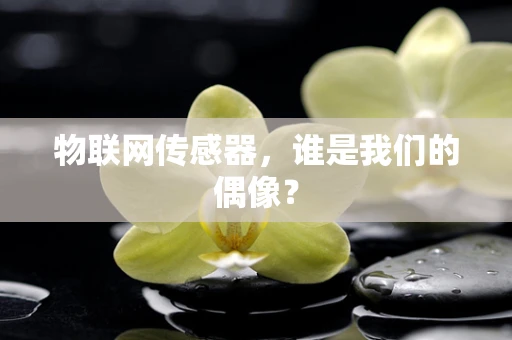 物联网传感器，谁是我们的偶像？