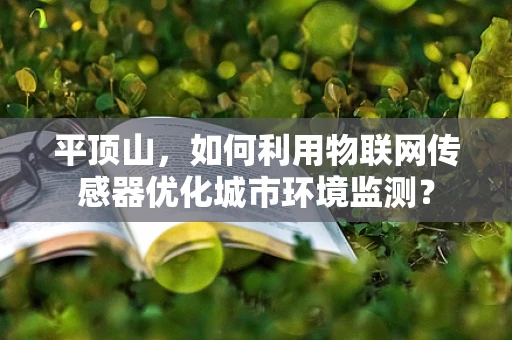 平顶山，如何利用物联网传感器优化城市环境监测？