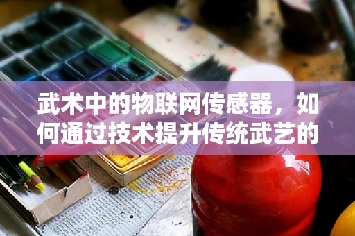 武术中的物联网传感器，如何通过技术提升传统武艺的精准与效率？