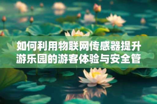 如何利用物联网传感器提升游乐园的游客体验与安全管理？