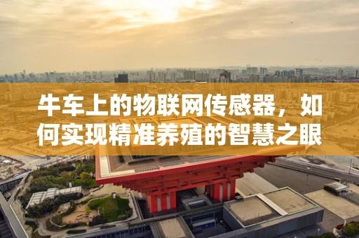 牛车上的物联网传感器，如何实现精准养殖的智慧之眼？