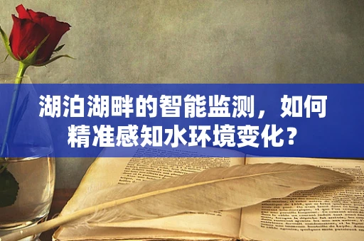 湖泊湖畔的智能监测，如何精准感知水环境变化？