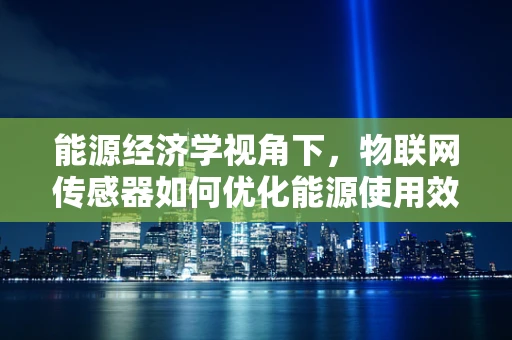 能源经济学视角下，物联网传感器如何优化能源使用效率？