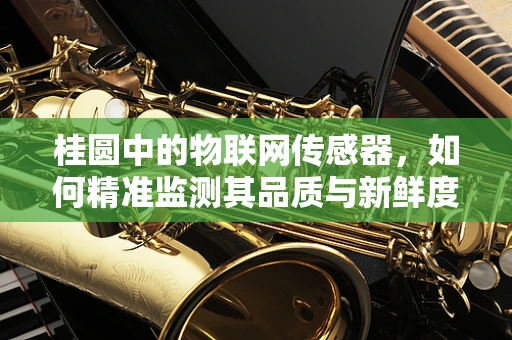 桂圆中的物联网传感器，如何精准监测其品质与新鲜度？