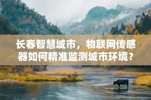 长春智慧城市，物联网传感器如何精准监测城市环境？