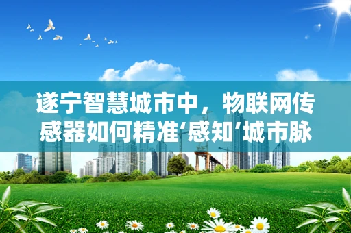 遂宁智慧城市中，物联网传感器如何精准‘感知’城市脉动？