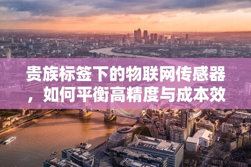 贵族标签下的物联网传感器，如何平衡高精度与成本效益？