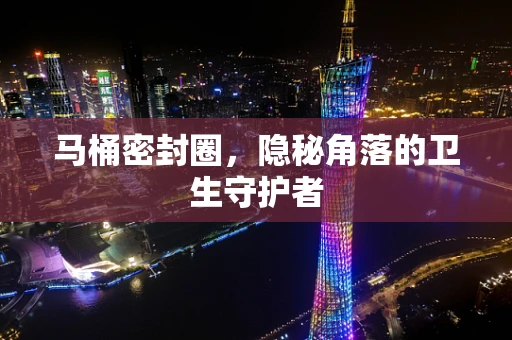 马桶密封圈，隐秘角落的卫生守护者
