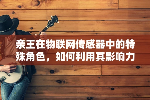 亲王在物联网传感器中的特殊角色，如何利用其影响力优化数据收集与处理？