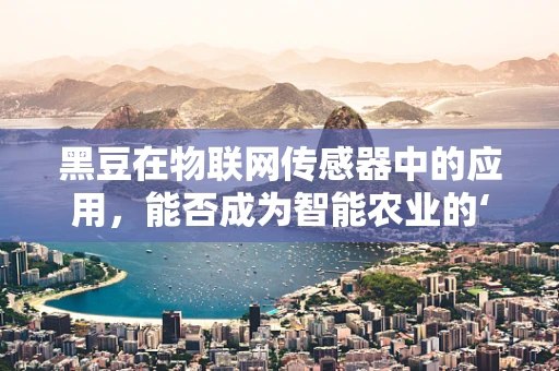 黑豆在物联网传感器中的应用，能否成为智能农业的‘隐形冠军’？