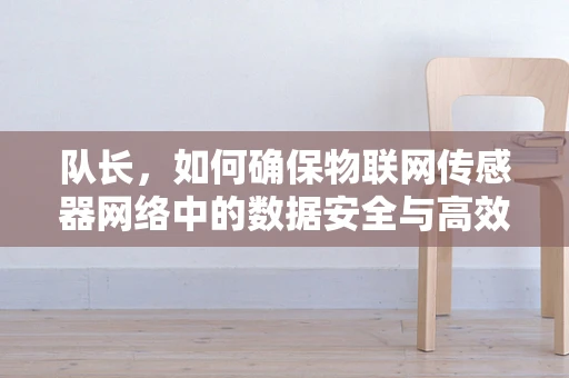 队长，如何确保物联网传感器网络中的数据安全与高效传输？